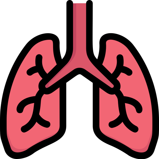 Boli Respiratorii